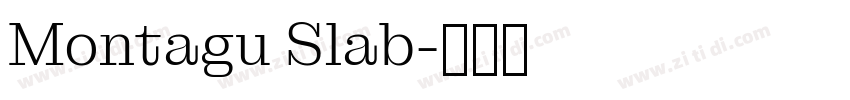 Montagu Slab字体转换